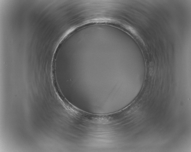 X0000061751229200512161708