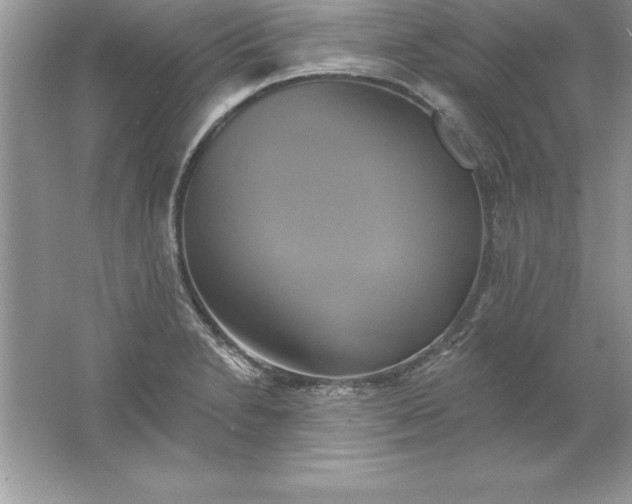 X0000061751230200512161708