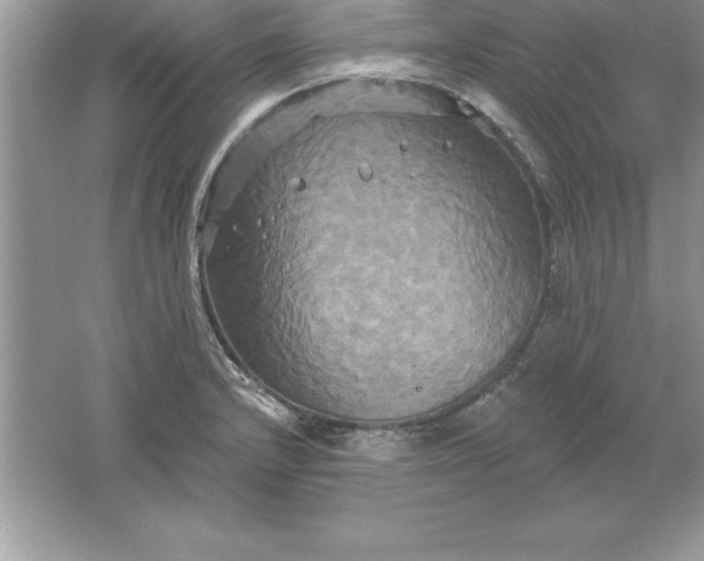 X0000061751232200512161708