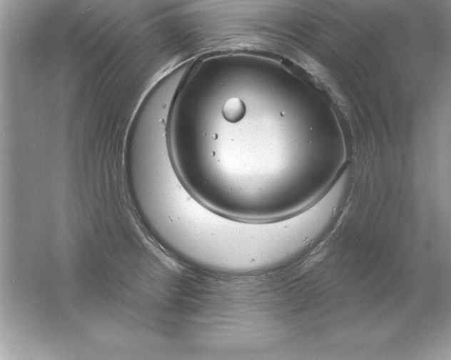 X0000061751234200512161708