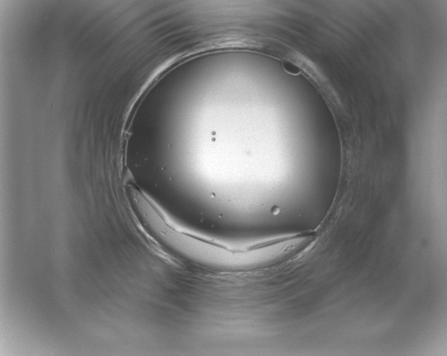 X0000061751236200512161708