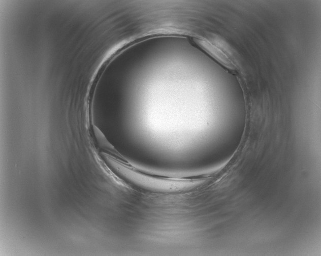 X0000061751238200512161708