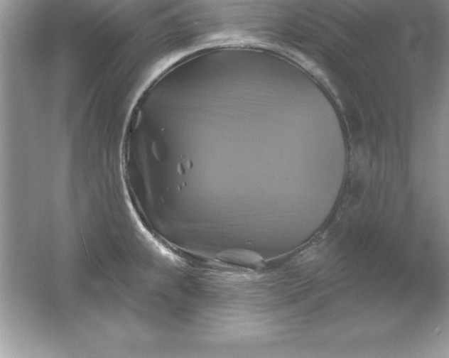 X0000061751239200512161708