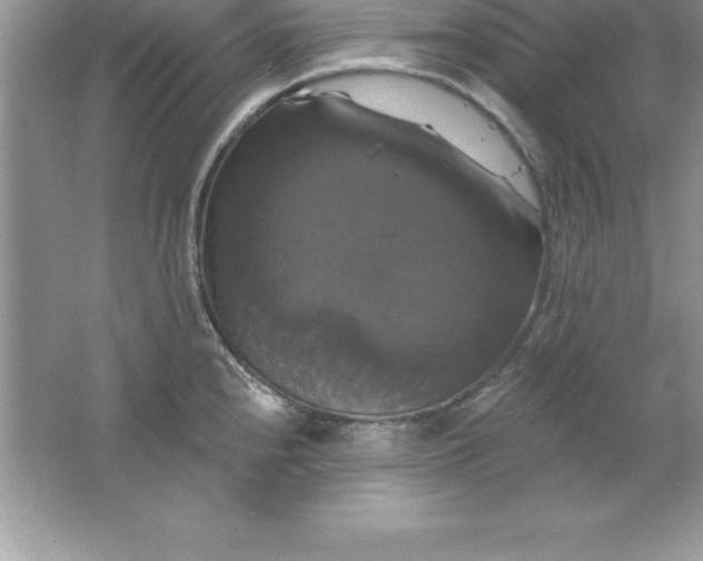 X0000061751240200512161708