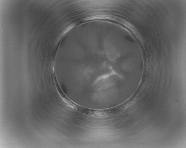 X0000061751241200512161708