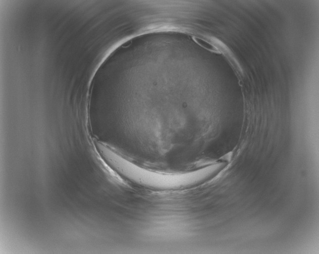 X0000061751244200512161708