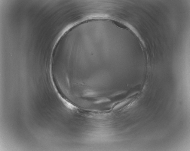 X0000061751245200512161708