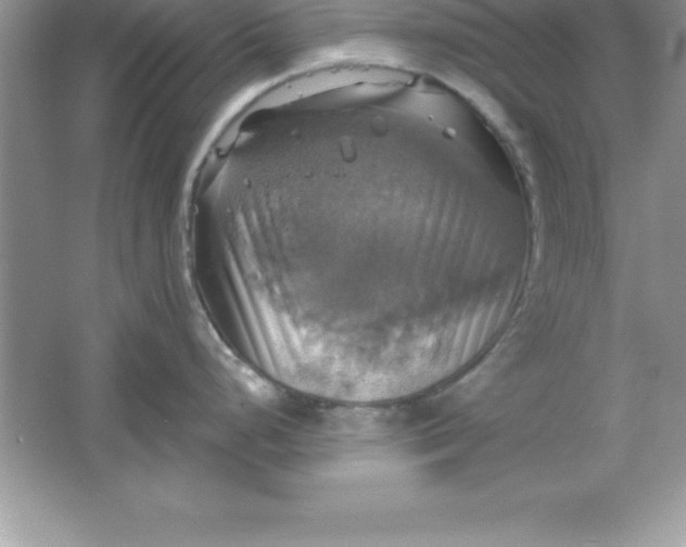 X0000061751248200512161708