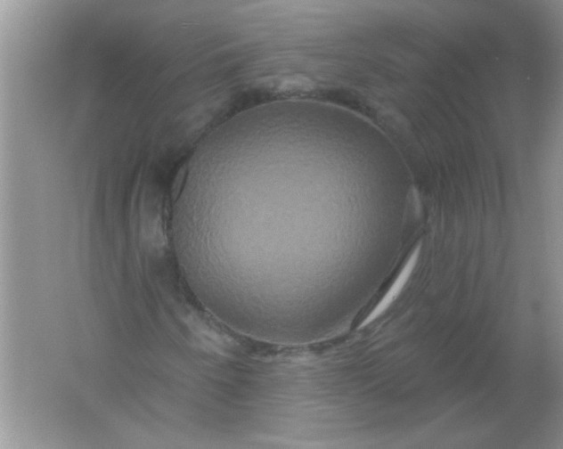 X0000061751250200512161707