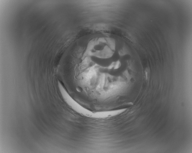 X0000061751251200512161707