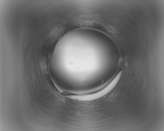 X0000061751252200512161707