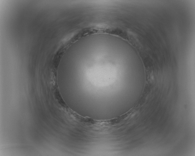 X0000061751253200512161707