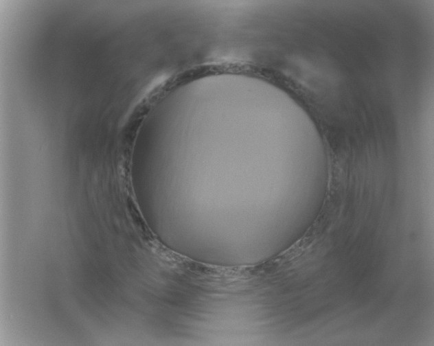 X0000061751254200512161707