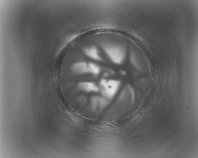 X0000061751255200512161707