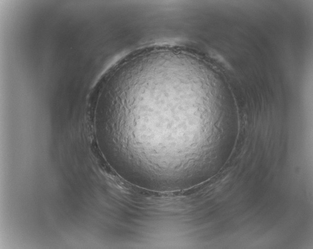 X0000061751256200512161707