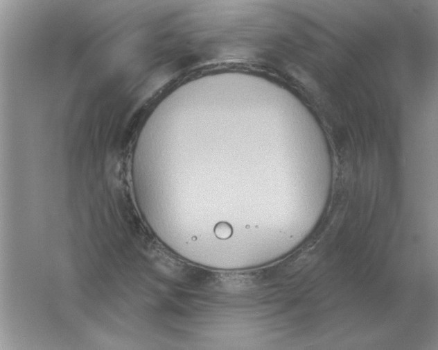 X0000061751258200512161707