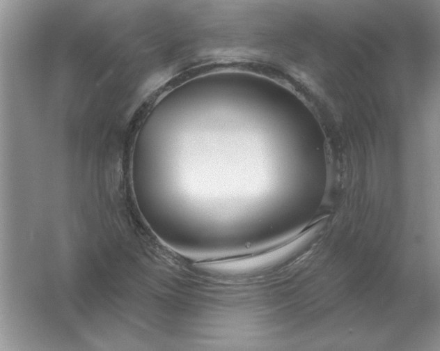 X0000061751261200512161707