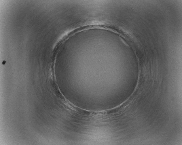 X0000061751262200512161707