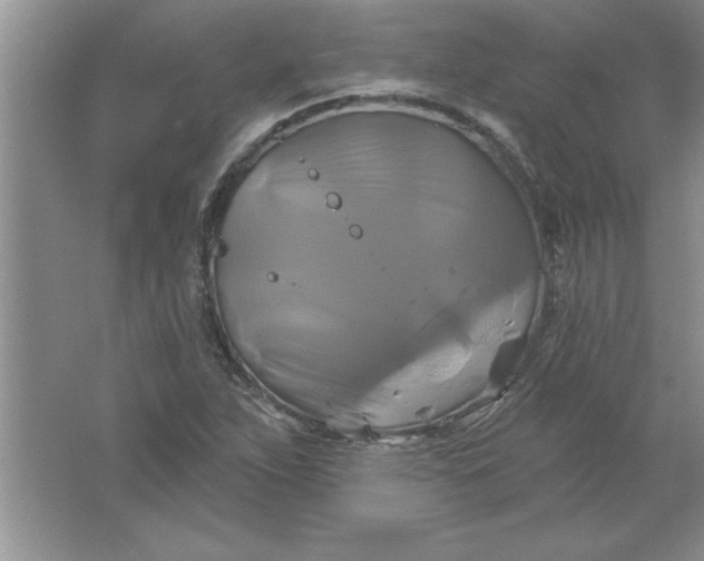 X0000061751263200512161707