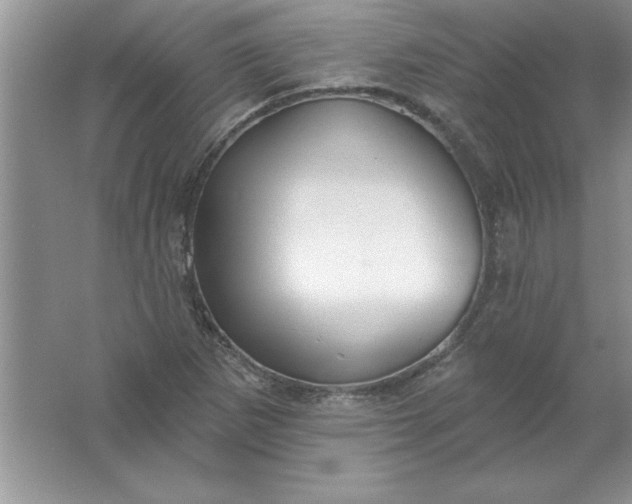 X0000061751265200512161707