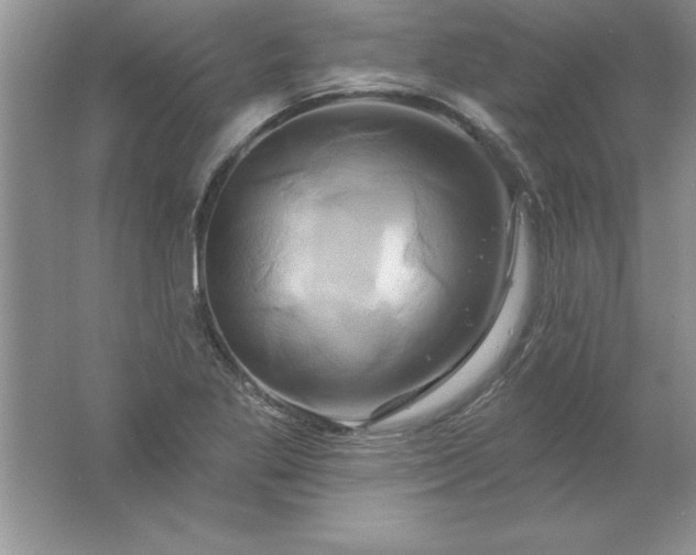 X0000061751269200512161707