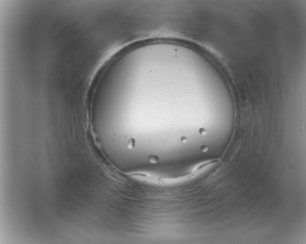 X0000061751271200512161707