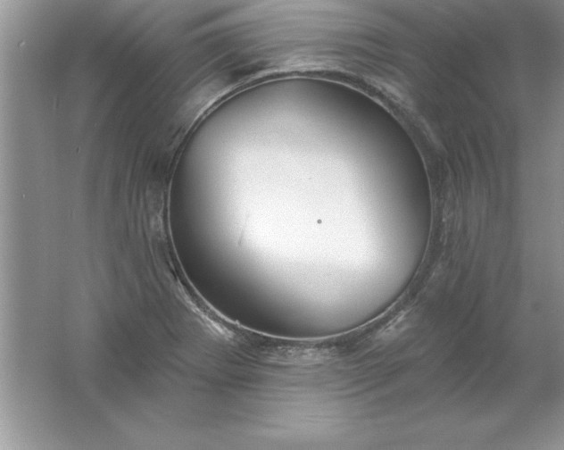 X0000061751273200512161707