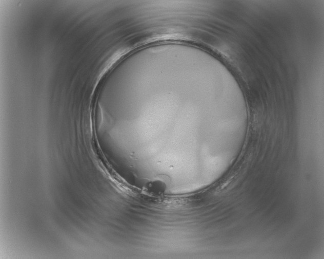 X0000061751274200512161707