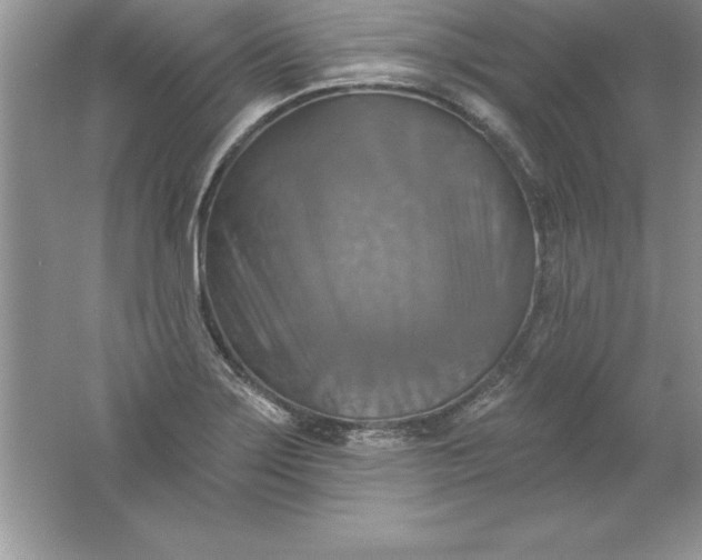 X0000061751275200512161707