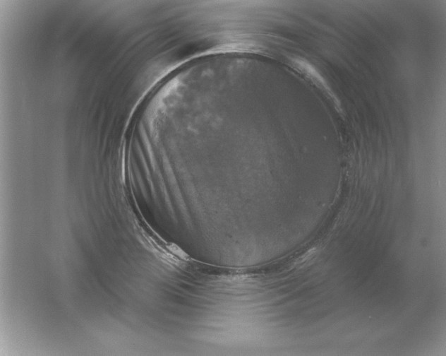 X0000061751276200512161707