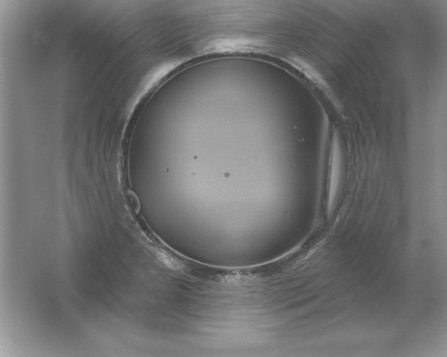 X0000061751277200512161707