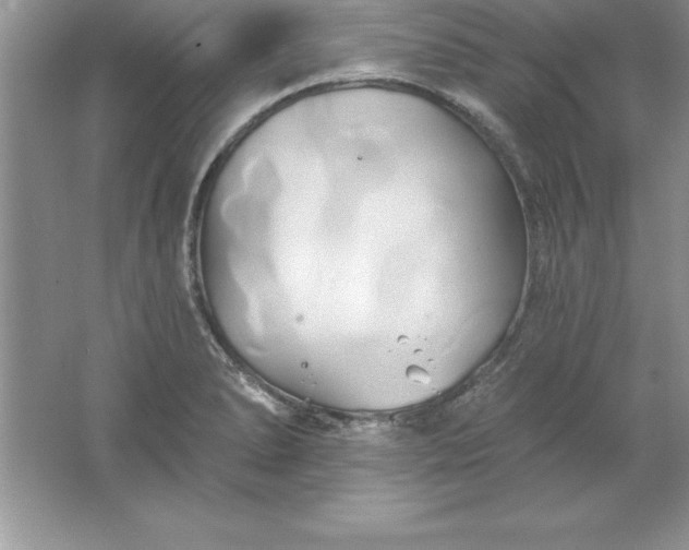 X0000061751278200512161707