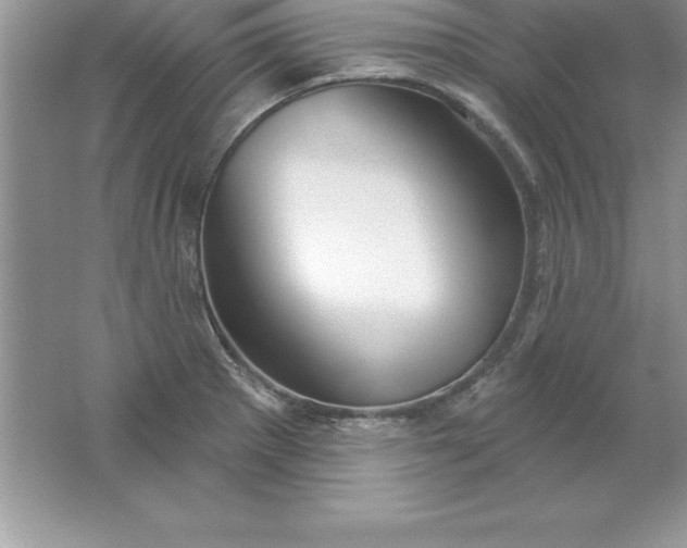 X0000061751281200512161707