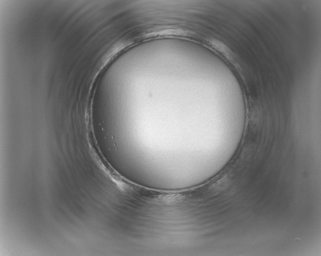 X0000061751282200512161707