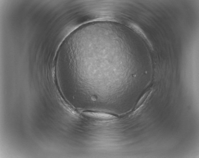 X0000061751284200512161707