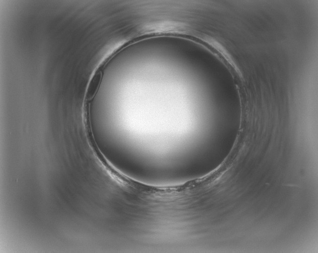 X0000061751285200512161707