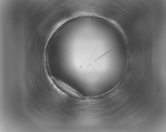 X0000061751287200512161707