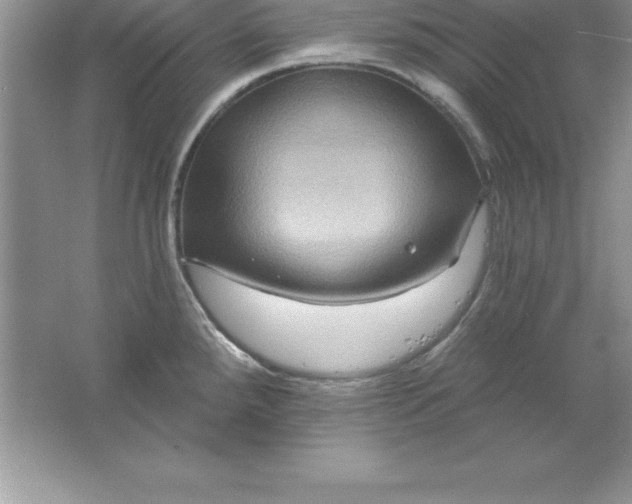 X0000061751288200512161707