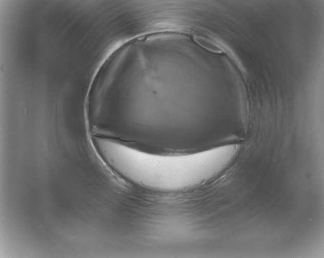 X0000061751291200512161707