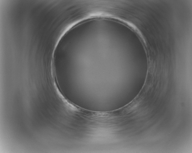 X0000061751295200512161707