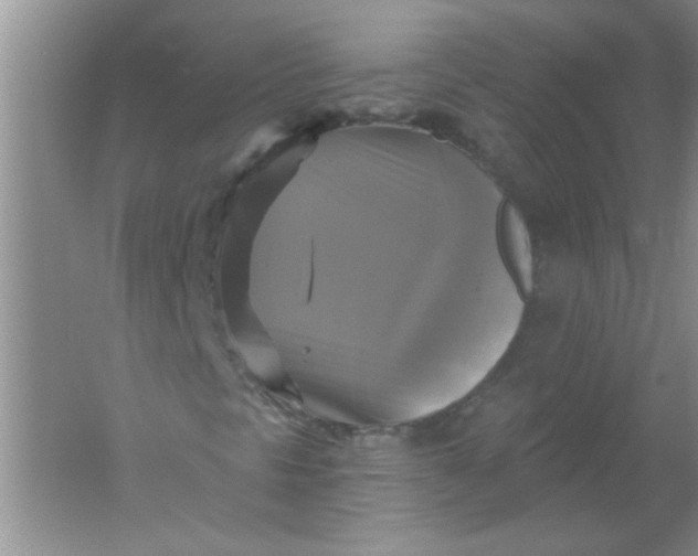 X0000061751297200512161706