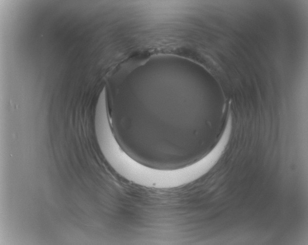 X0000061751298200512161706