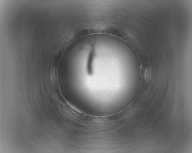 X0000061751299200512161706