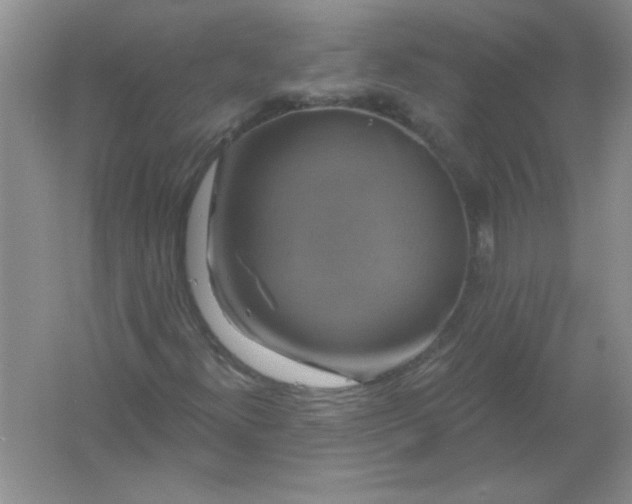 X0000061751300200512161706