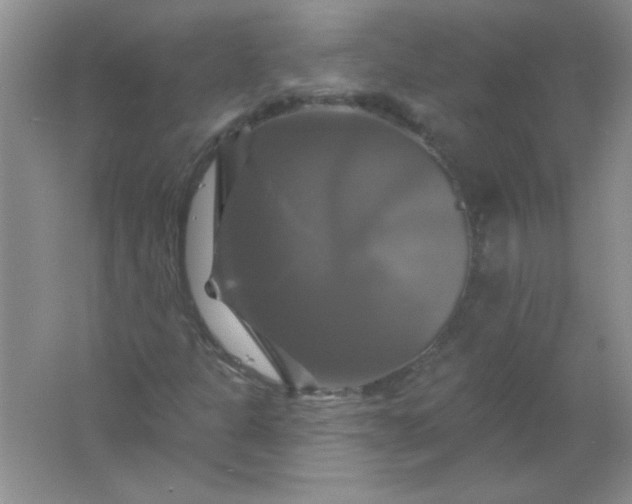 X0000061751301200512161706