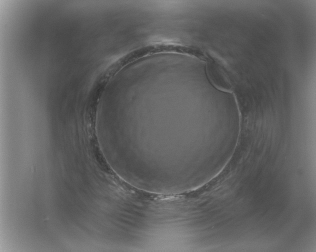 X0000061751303200512161706