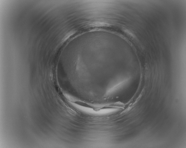 X0000061751305200512161706