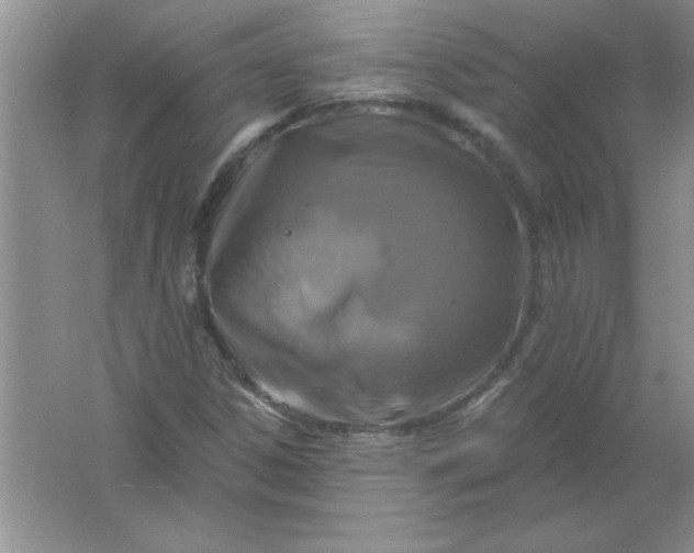 X0000061751306200512161706