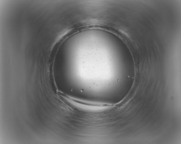 X0000061751309200512161706