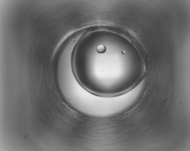 X0000061751310200512161706